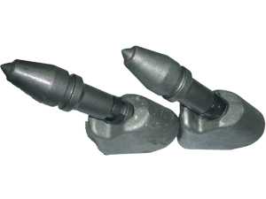 ���ڽ��X�S�ң�C31�Ͻ���X