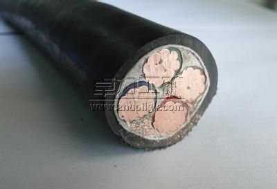 �͉������|