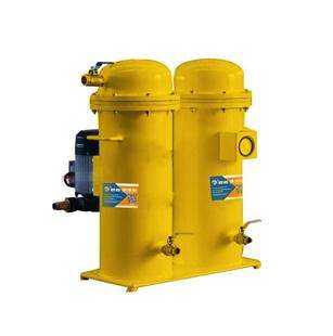 ���̓�����