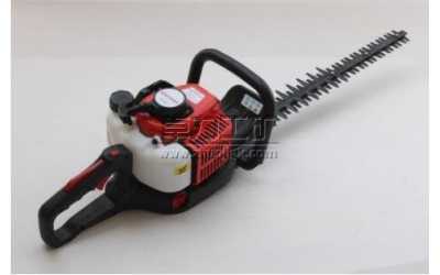 ���_�̾G�h�C